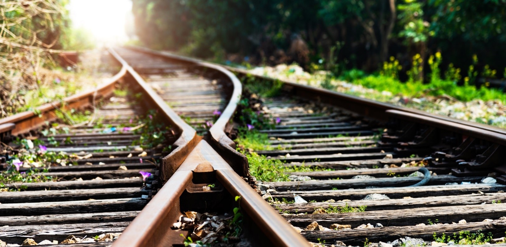 Why combining General Liability and Professional Indemnity can bring a host of business benefits