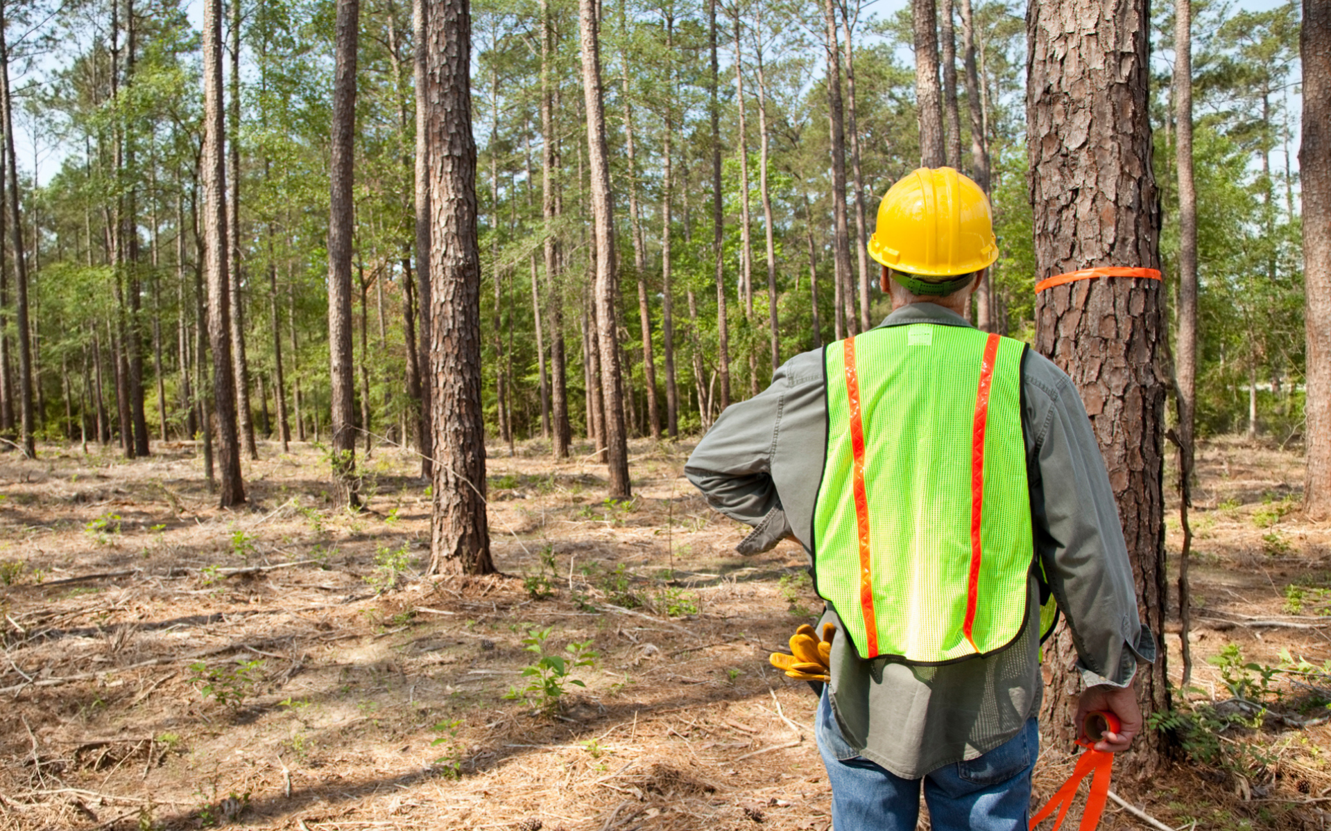 Portfolio Solutions - Australia.png